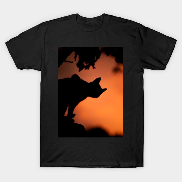 Black Cat Twilight - Halloween 2019 T-Shirt by OfficialTeeDreams